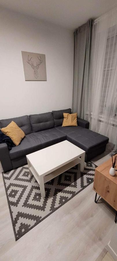 Apartament Na Kochanowskiego Stary Toruń Exteriér fotografie